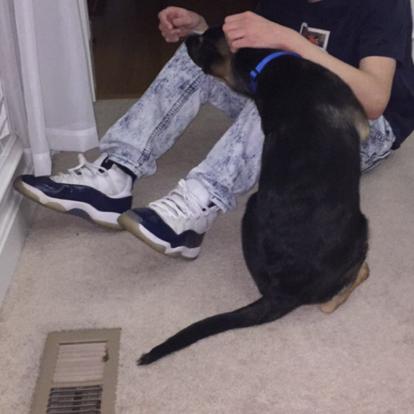 Meet your Posher, Matthew - Picture 1 of 1